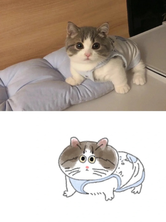 Pet illustration