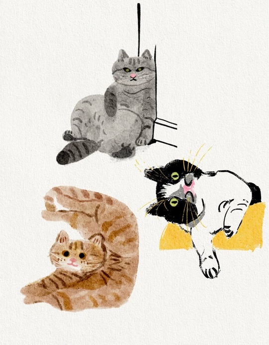 Pet illustration