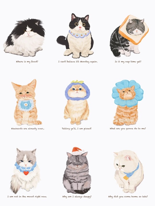 Pet illustration