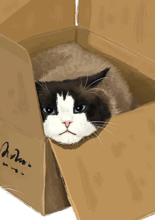 Pet illustration