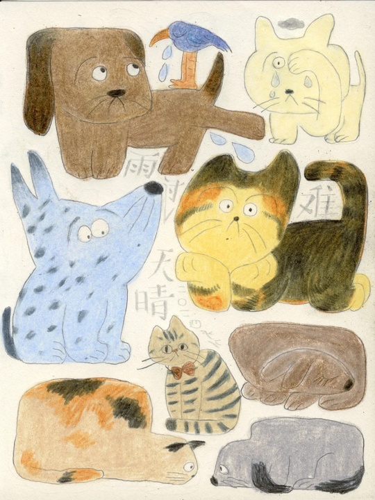 Pet illustration