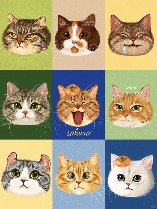 Pet illustration