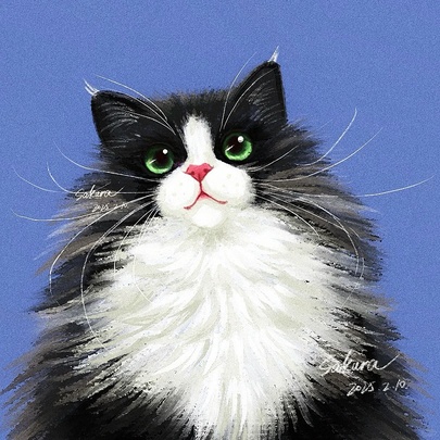 Pet illustration
