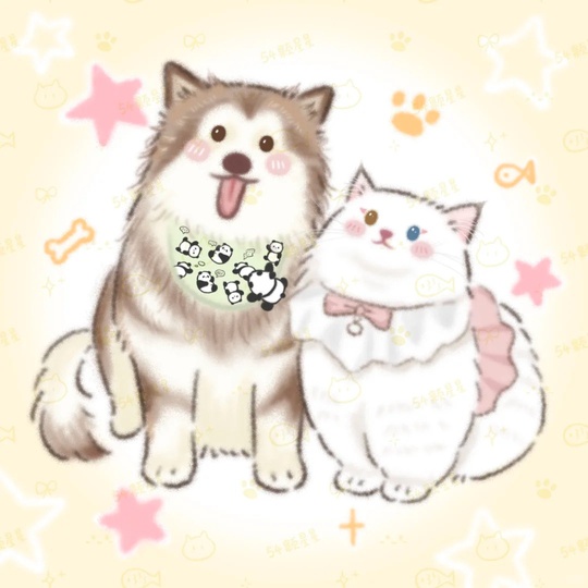 Pet illustration