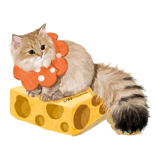 Pet illustration