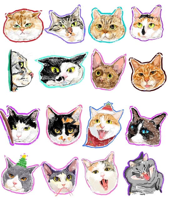 Pet illustration